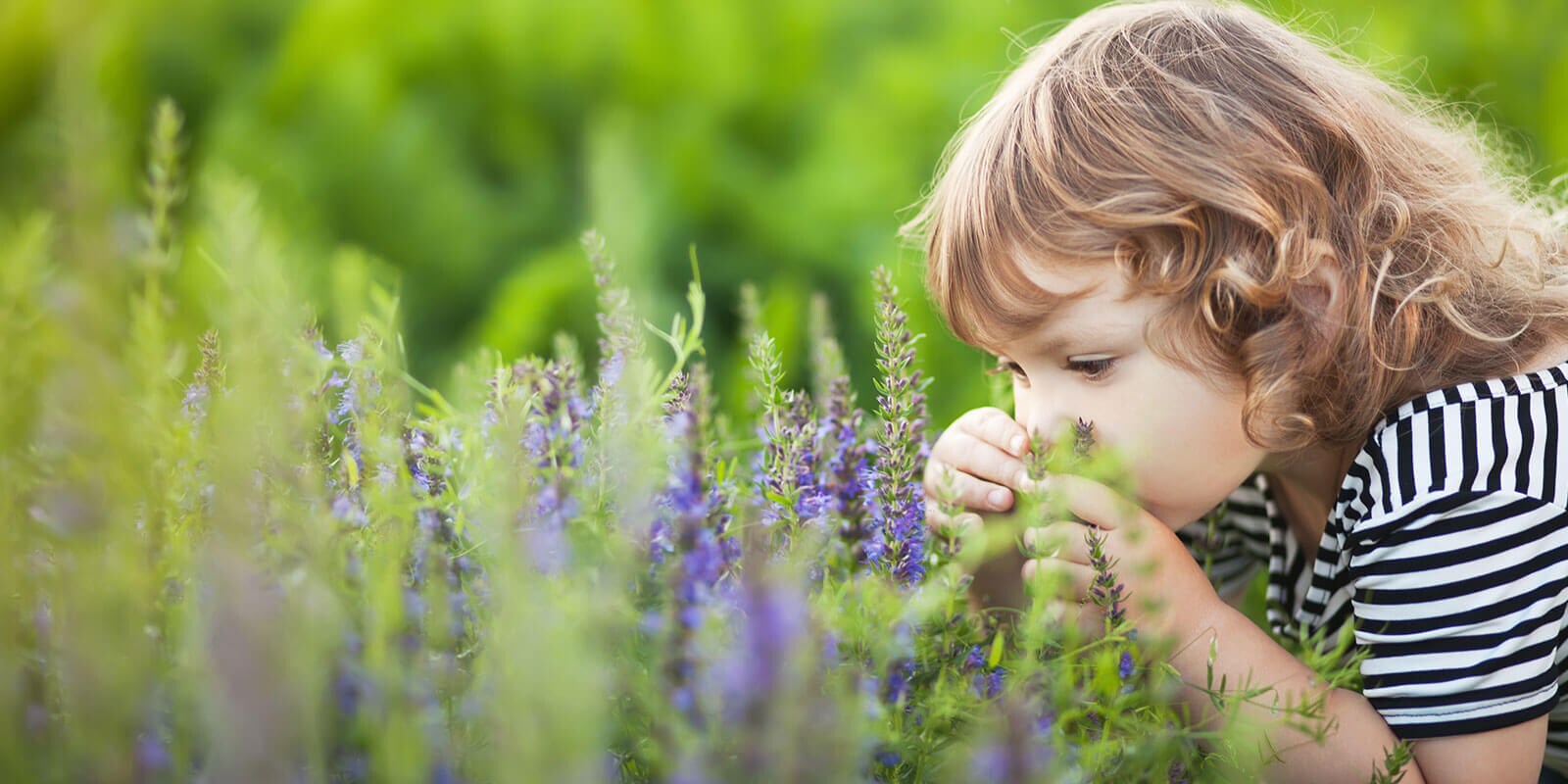 A child in a striped shirt examines purple flowers in a lush green garden.