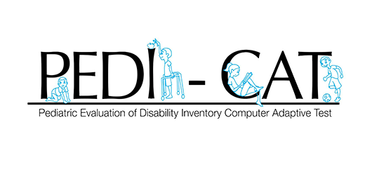 Pediatric Evaluation of Disability Inventory Computer Adaptive Test
