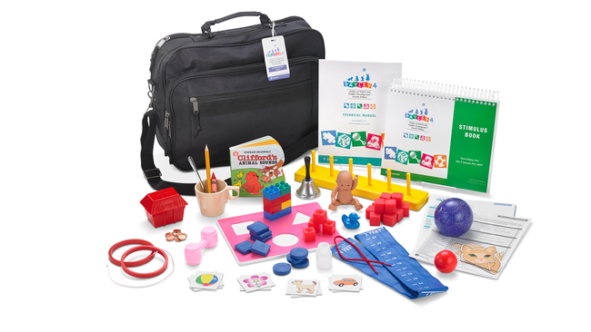 Bayley Scales of Infant and Toddler Development Screening Test