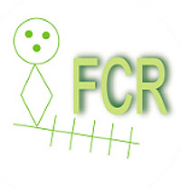 Test de la figure complète de Rey